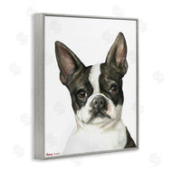 George Dyachenko | Curious Boston Terrier Portrait Pet Dog Watercolor