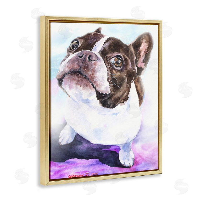George Dyachenko | Happy Boston Terrier Pet Dog Portrait Black Purple