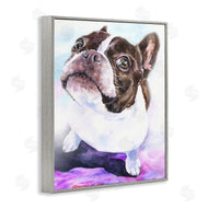 George Dyachenko | Happy Boston Terrier Pet Dog Portrait Black Purple