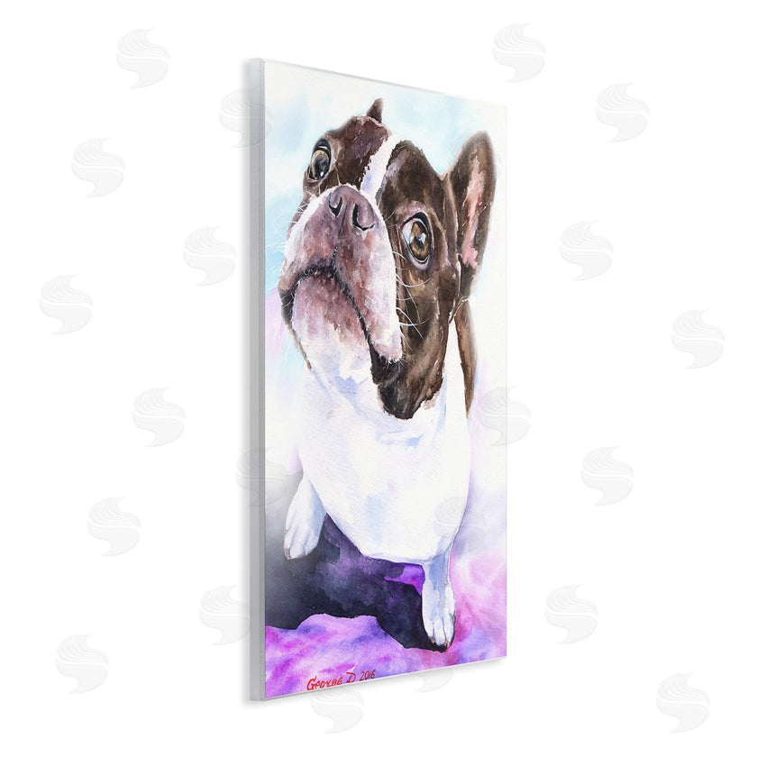 George Dyachenko | Happy Boston Terrier Pet Dog Portrait Black Purple