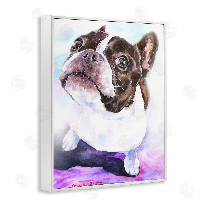 George Dyachenko | Happy Boston Terrier Pet Dog Portrait Black Purple