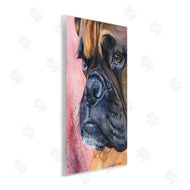George Dyachenko | Pensive Boxer Dog Pet Portrait Brown Pink