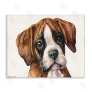 George Dyachenko | Puppy Eyes Boxer Dog Pet Portrait Brown White