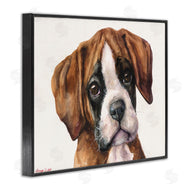 George Dyachenko | Puppy Eyes Boxer Dog Pet Portrait Brown White