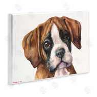 George Dyachenko | Puppy Eyes Boxer Dog Pet Portrait Brown White