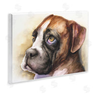 George Dyachenko | Boxer Puppy Dog Eyes Adorable Pet Portrait