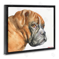 George Dyachenko | Boxer Dog Looking Back Adorable Pet Portrait