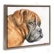 George Dyachenko | Boxer Dog Looking Back Adorable Pet Portrait