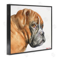 George Dyachenko | Boxer Dog Looking Back Adorable Pet Portrait