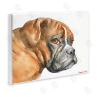 George Dyachenko | Boxer Dog Looking Back Adorable Pet Portrait