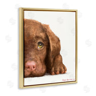 George Dyachenko | Chocolate Labrador Puppy Resting Adorable Dog Portrait