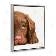 George Dyachenko | Chocolate Labrador Puppy Resting Adorable Dog Portrait