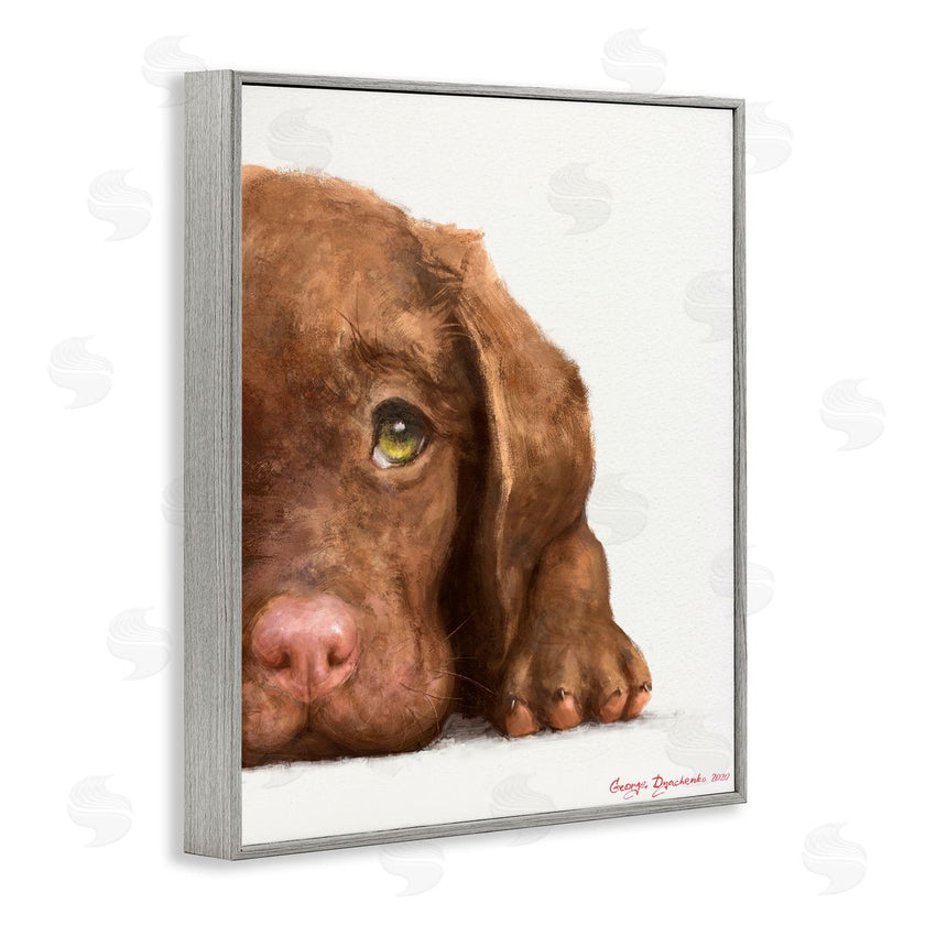George Dyachenko | Chocolate Labrador Puppy Resting Adorable Dog Portrait