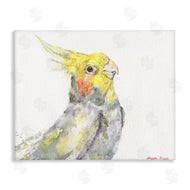 George Dyachenko | Cockatiel Bird Portrait Tropical Yellow Grey Pet