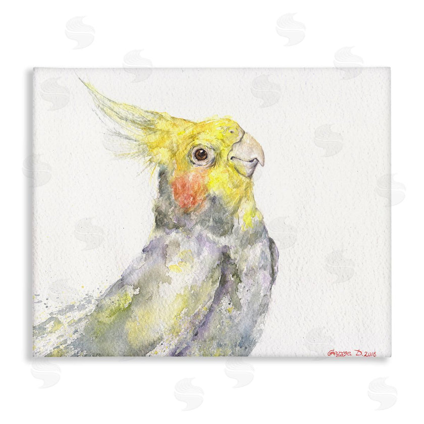 George Dyachenko | Cockatiel Bird Portrait Tropical Yellow Grey Pet