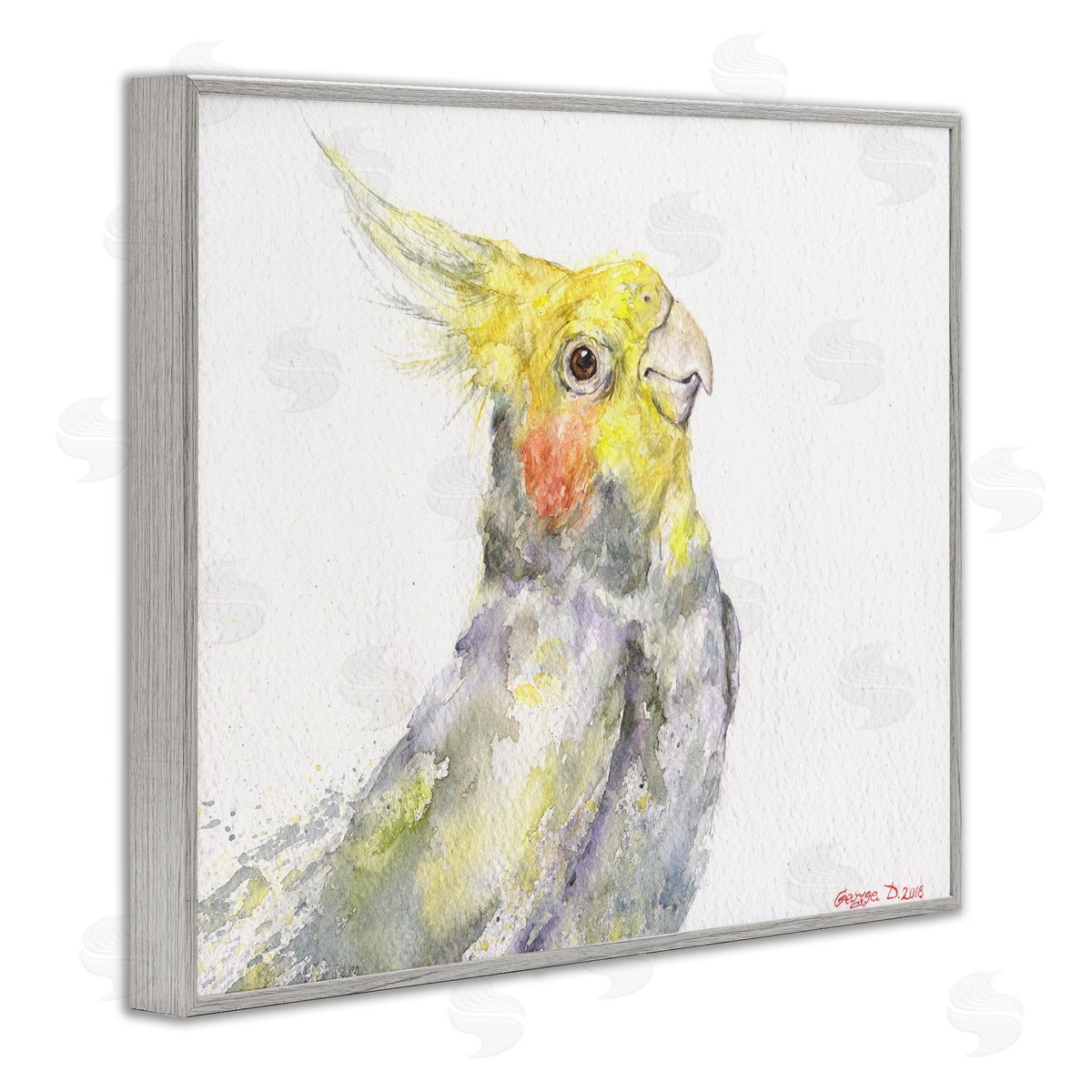 George Dyachenko Cockatiel Bird Portrait Tropical Yellow Grey Pet Gray Framed Giclee Wall Art