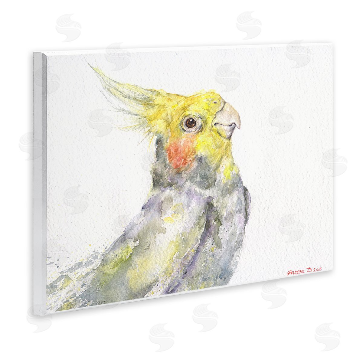 George Dyachenko Cockatiel Bird Portrait Tropical Yellow Grey Pet Wall Plaque Art
