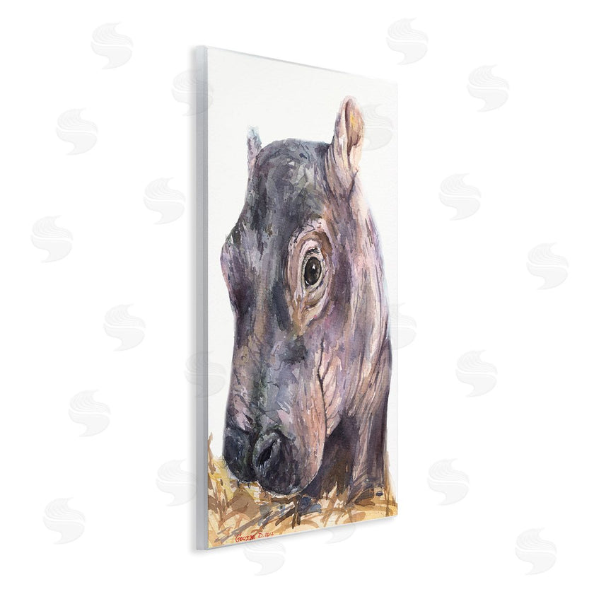 George Dyachenko | Baby Hippo Portrait Adorable Grey Safari Animal