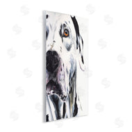 George Dyachenko | Dalmatian Pet Dog Portrait Bold Spotted Dog
