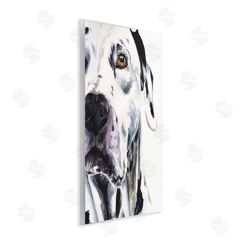 George Dyachenko | Dalmatian Pet Dog Portrait Bold Spotted Dog