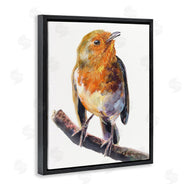 George Dyachenko | Orange European Robin Perched Bird Portrait