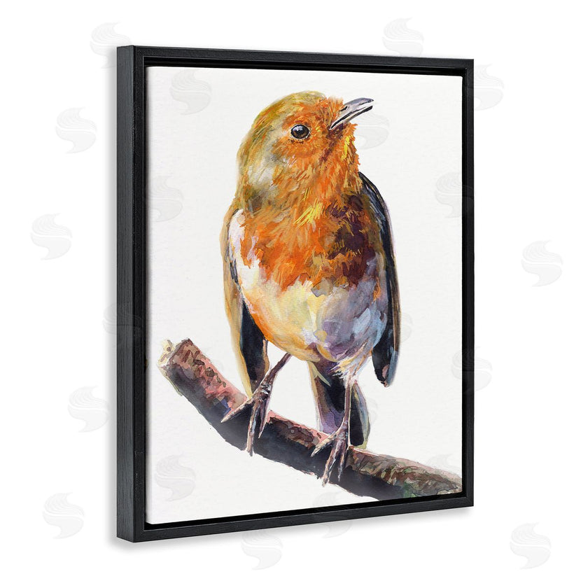 George Dyachenko | Orange European Robin Perched Bird Portrait