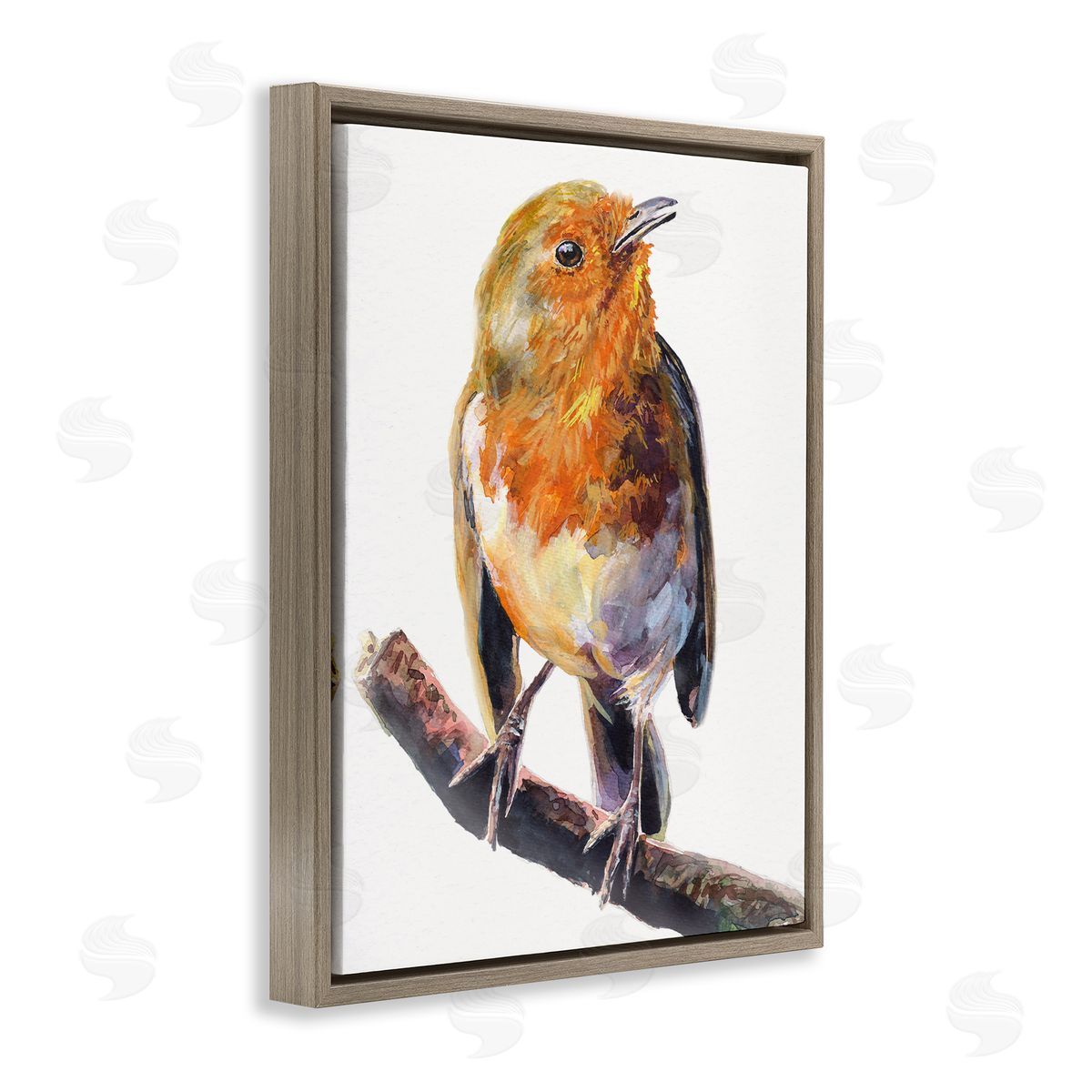 George Dyachenko Orange European Robin Perched Bird Portrait Brown Floater Frame Canvas Art