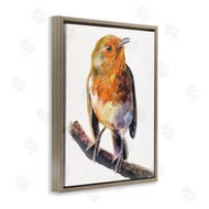 George Dyachenko | Orange European Robin Perched Bird Portrait