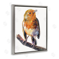 George Dyachenko | Orange European Robin Perched Bird Portrait