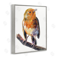George Dyachenko | Orange European Robin Perched Bird Portrait
