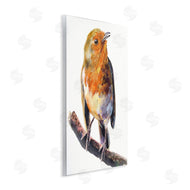 George Dyachenko | Orange European Robin Perched Bird Portrait