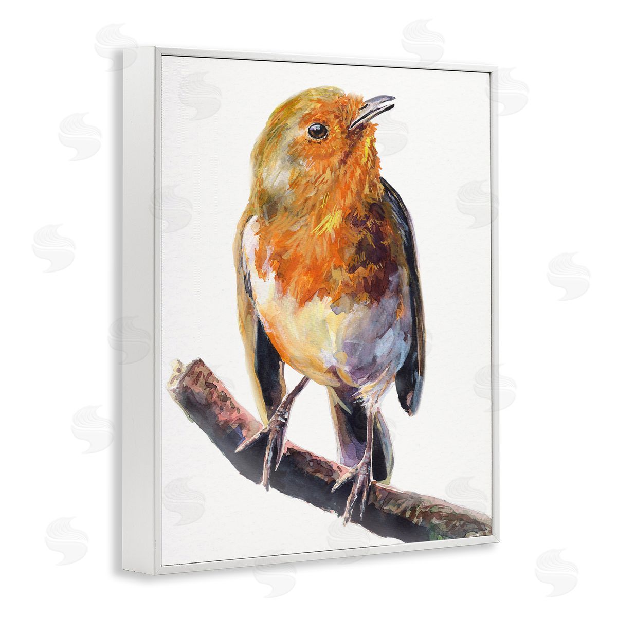 George Dyachenko Orange European Robin Perched Bird Portrait White Framed Giclee Wall Art