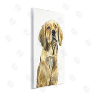 George Dyachenko | Golden Retriever Puppy Portrait Soft Yellow Dog
