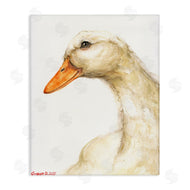George Dyachenko | Country Goose Portrait Soft Feather Bird