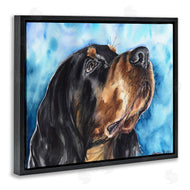 George Dyachenko | Gordon Setter Dog Portrait over Vibrant Blue