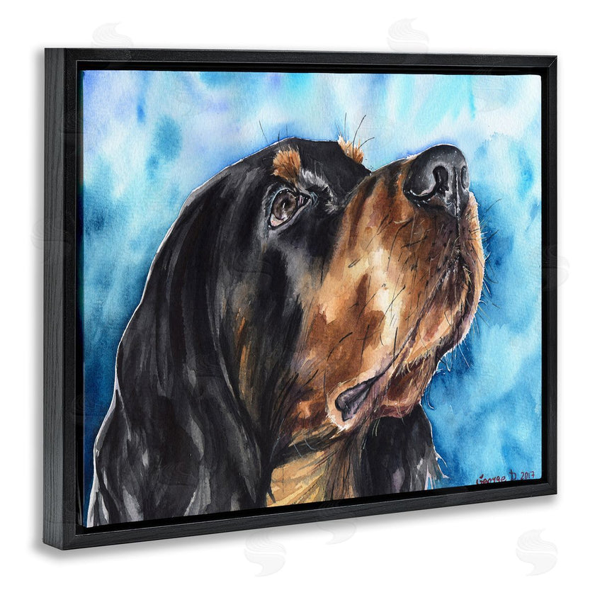George Dyachenko | Gordon Setter Dog Portrait over Vibrant Blue