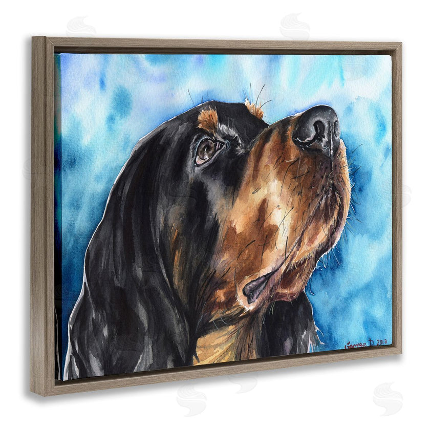 George Dyachenko | Gordon Setter Dog Portrait over Vibrant Blue
