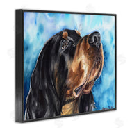George Dyachenko | Gordon Setter Dog Portrait over Vibrant Blue