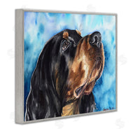 George Dyachenko | Gordon Setter Dog Portrait over Vibrant Blue