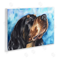 George Dyachenko | Gordon Setter Dog Portrait over Vibrant Blue