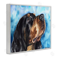 George Dyachenko | Gordon Setter Dog Portrait over Vibrant Blue