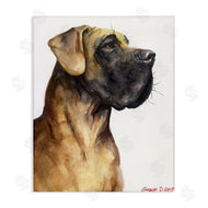 George Dyachenko | Great Dane Pet Dog Portrait Strong Pose