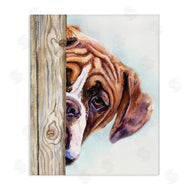 George Dyachenko | Boxer Dog Hide and Seek Puppy Portrait