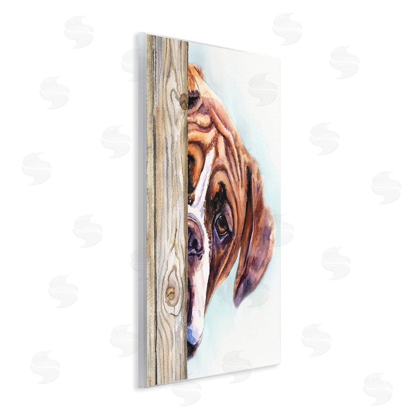 George Dyachenko | Boxer Dog Hide and Seek Puppy Portrait