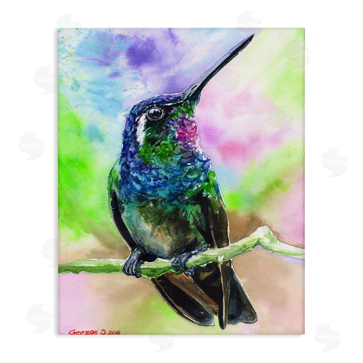 George Dyachenko Vibrant Hummingbird Perched Soft Tie-Dye Canvas Wall Art