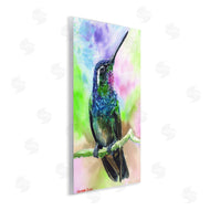 George Dyachenko | Vibrant Hummingbird Perched Soft Tie-Dye