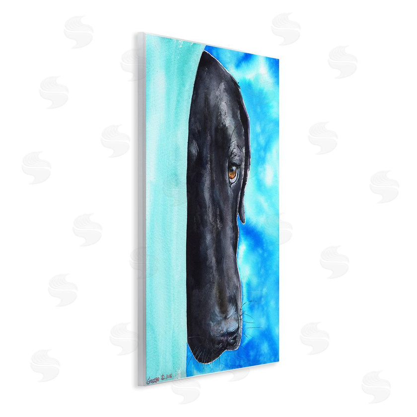 George Dyachenko | Bashful Labrador Dog Portrait Vibrant Blue