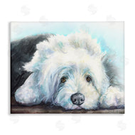 George Dyachenko | Fluffy Old English Sheepdog Puppy Resting