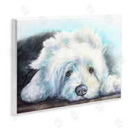 George Dyachenko | Fluffy Old English Sheepdog Puppy Resting
