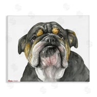 George Dyachenko | Chubby Bulldog Portrait Old Dog Charm Black Brown